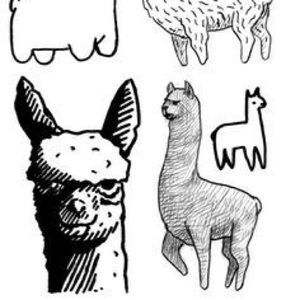 Reserved For Fibreshares